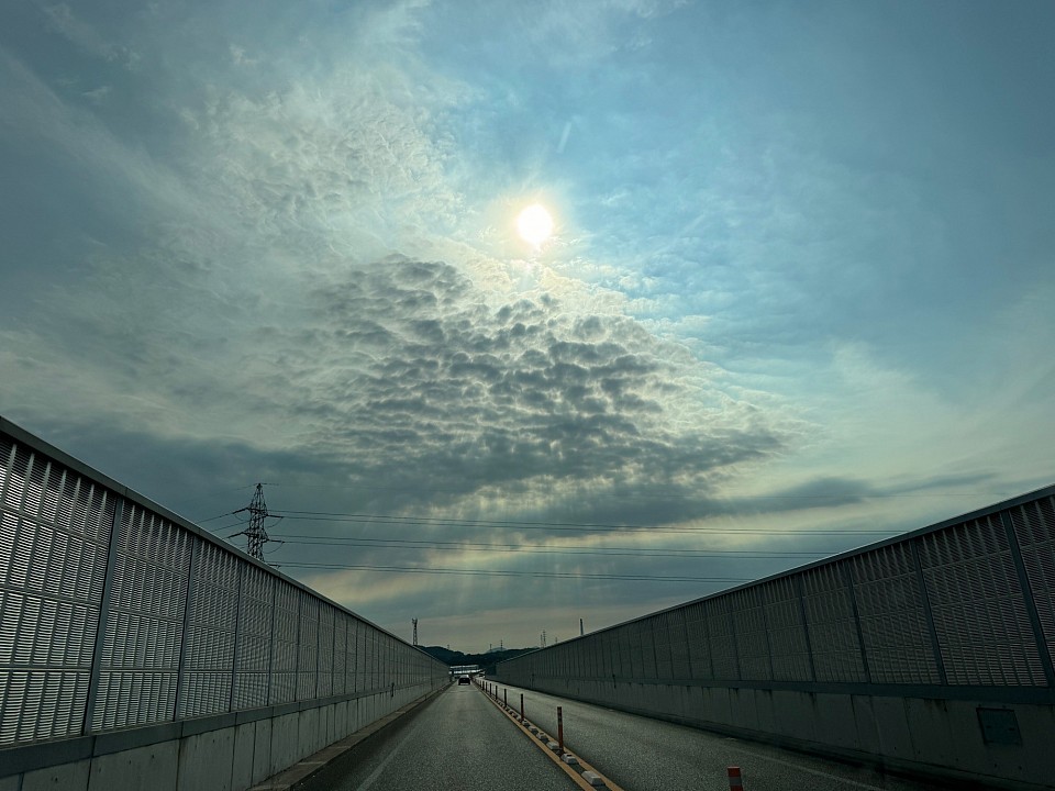 自然の神秘には勝てない。同じ空を見て俺はただそう思う